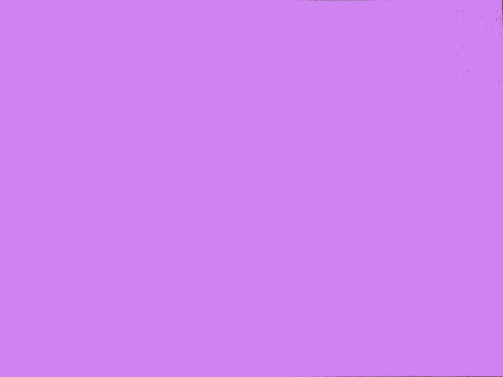 Card Sheet DSide 50x64cm 230gsm 14 Bright Lilac paper craft product photo