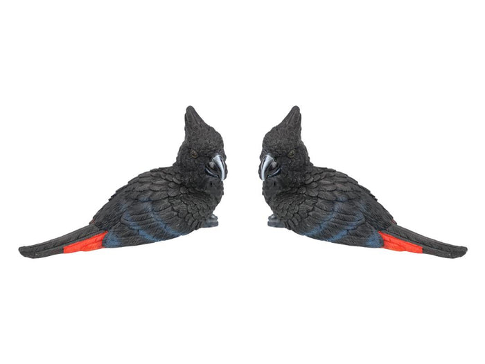 Black Cockatoo Bird Paperweight – 14cm