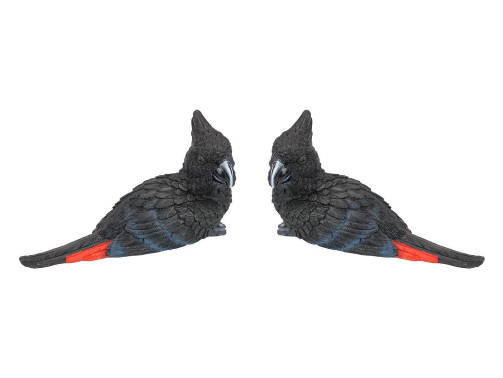 Black Cockatoo Bird Paperweight – 14cm