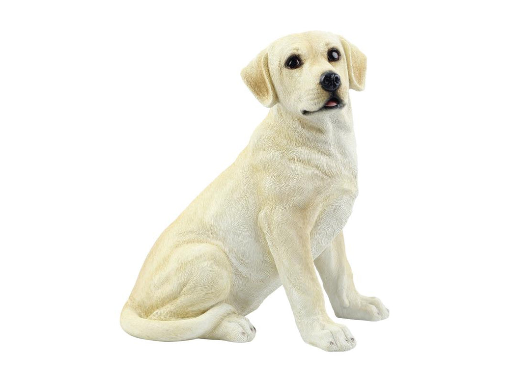 Sitting Cute Labrador – 31cm