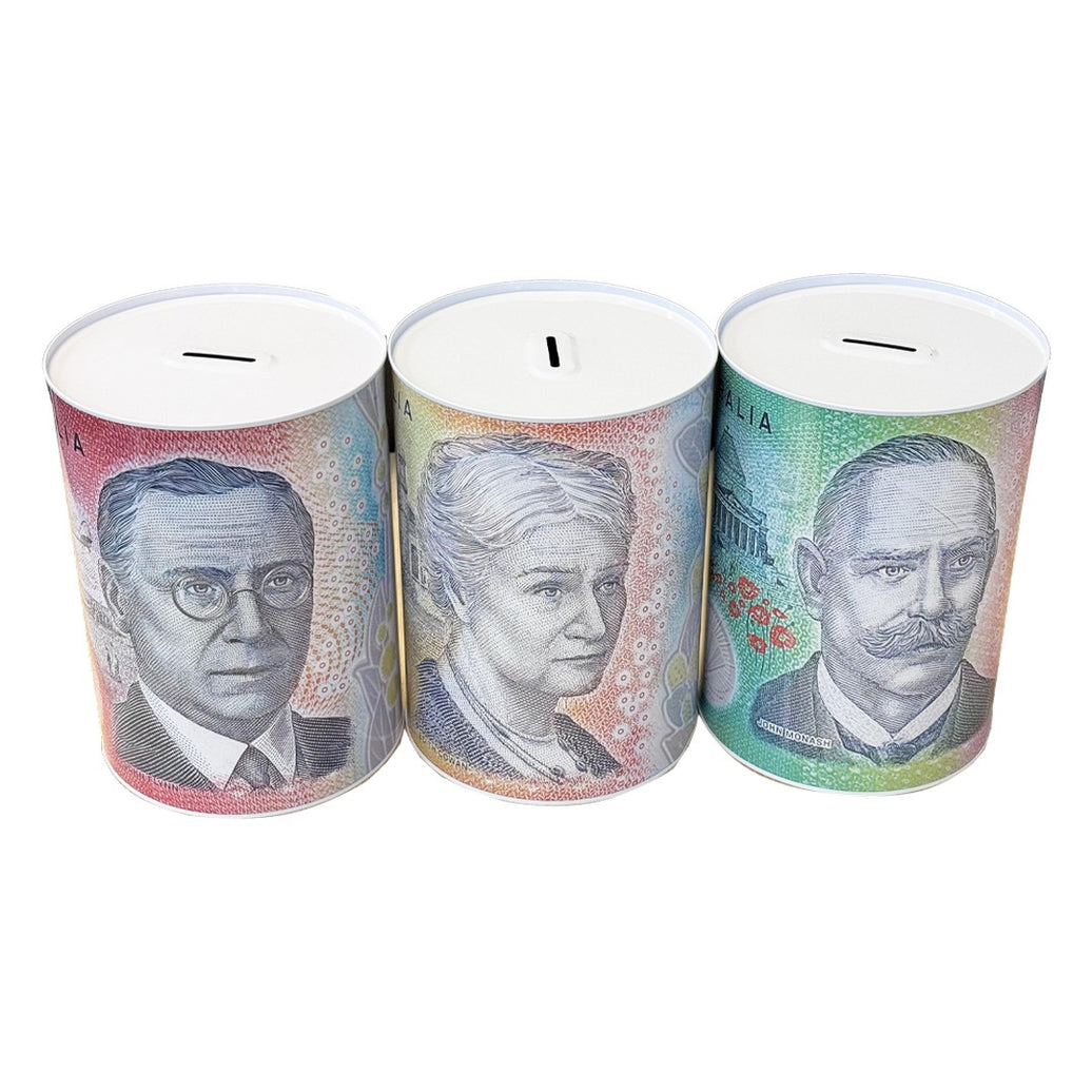 Money Tin Lrg 15 x 21.5cm product photo - Price Busters Variety