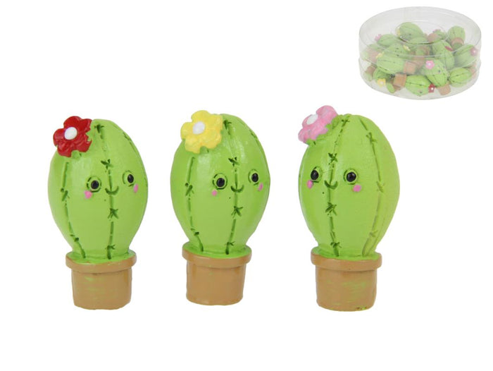 Miniature Cactus Flower with Fun Face - Assorted