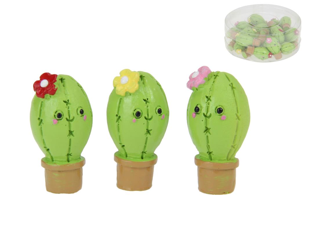 Miniature Cactus Flower with Fun Face - Assorted