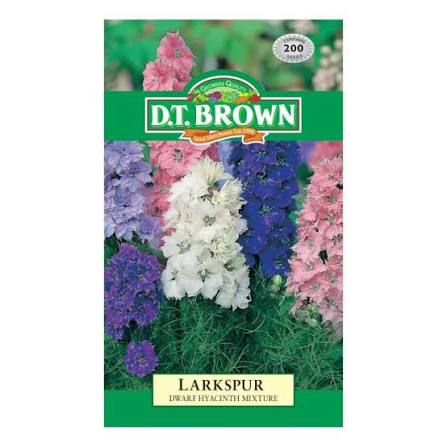 DT Brown Dwarf Larkspur Hyacinth flower seed packet