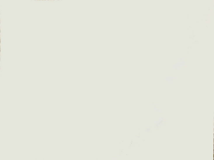 Card Sheet DSide 50x64cm 230gsm 04 Cream paper craft product photo