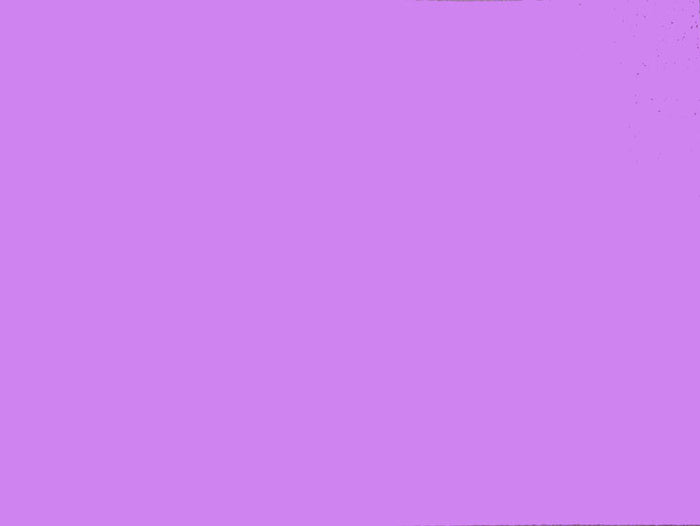 Card Sheet DSide 50x64cm 230gsm 14 Bright Lilac paper craft product photo