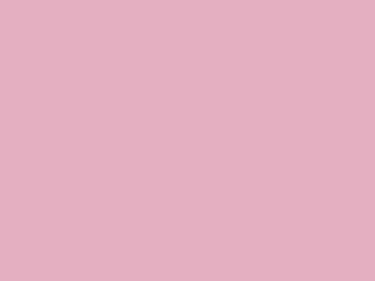 Card Sheet DSide 50x64cm 230gsm 17 Ballrina Pink paper craft product photo