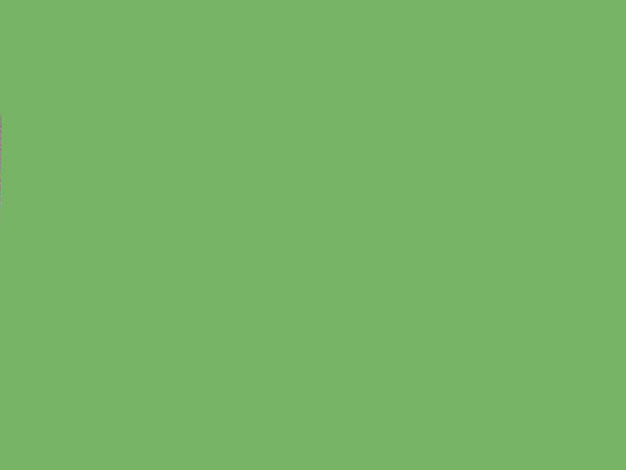 Card Sheet DSide 50x64cm 230gsm 07 Tree Green paper craft product photo