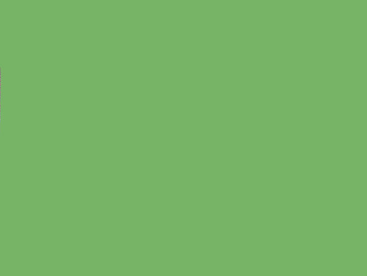 Card Sheet DSide 50x64cm 230gsm 07 Tree Green paper craft product photo