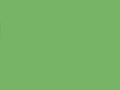 Card Sheet DSide 50x64cm 230gsm 07 Tree Green paper craft product photo
