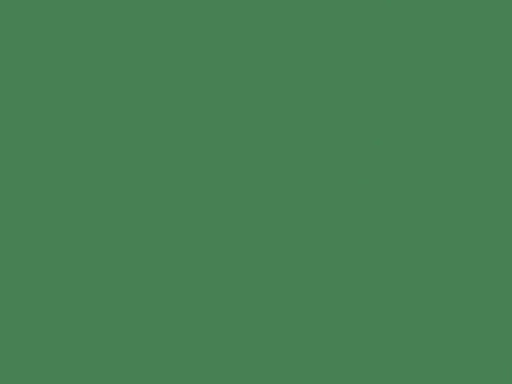 Card Sheet DSide 50x64cm 230gsm 08 Xmas Green paper craft product photo