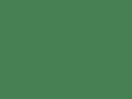 Card Sheet DSide 50x64cm 230gsm 08 Xmas Green paper craft product photo