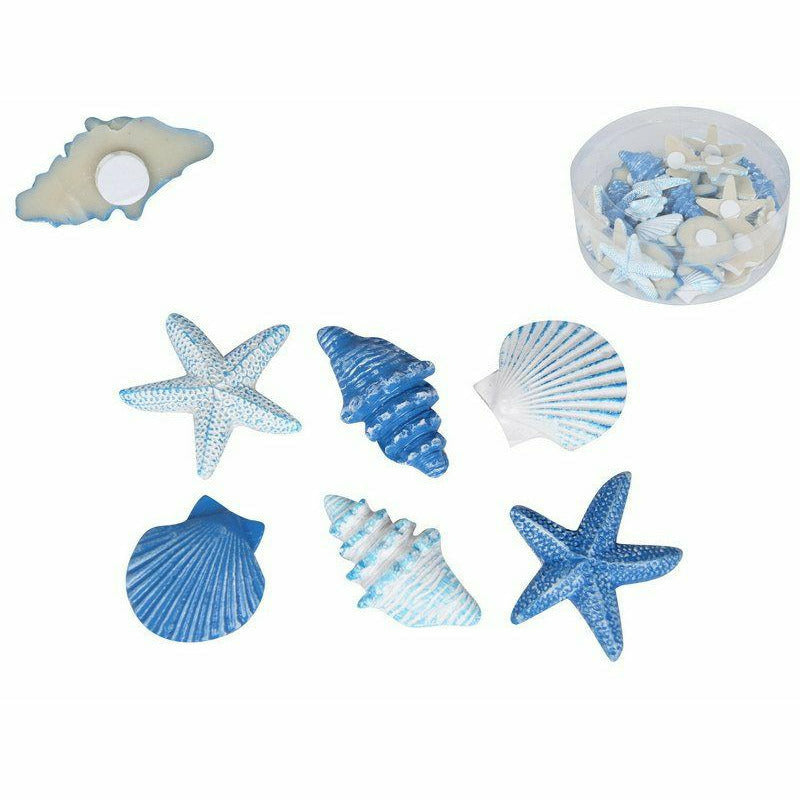 Mini Craft Shells in Display - Assorted