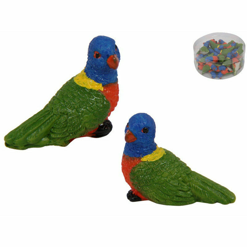 Miniature Rainbow Lorikeet - Assorted