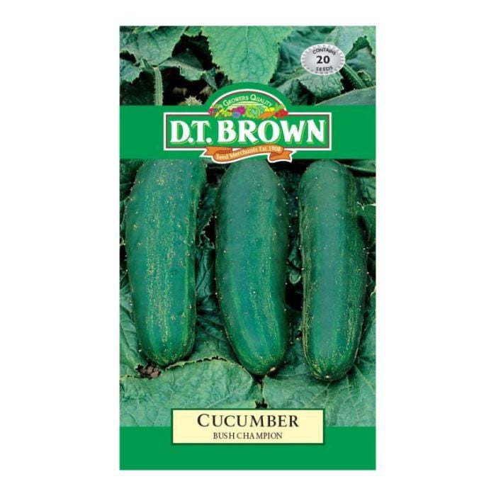 DTB CUCUMBER Bush Champion