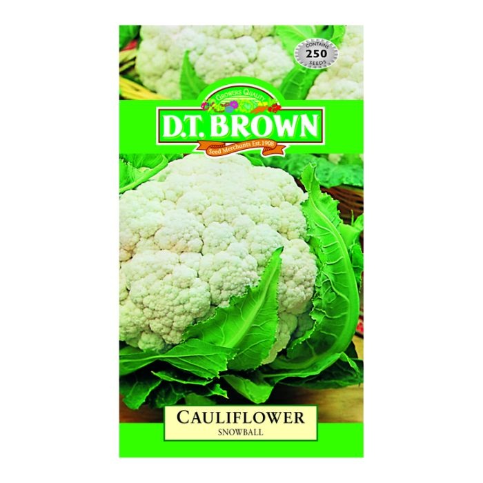 DTB CAULIFLOWER Snow Ball