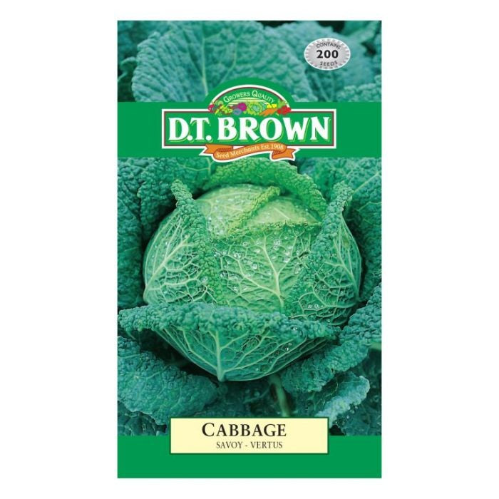 DTB Cabbage Vertus