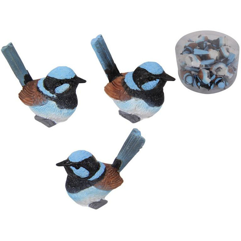 Miniature Fairy Wren
