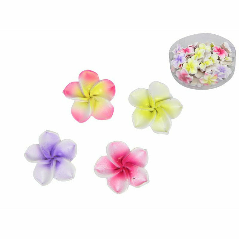 Mini Frangipani