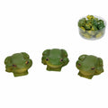 Miniature Green Tree Frog