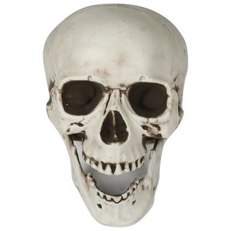 Halloween Skeleton Skull Decoration 24cm