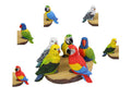 Budgie/Parrot/Lorikeet on Display – 17cm