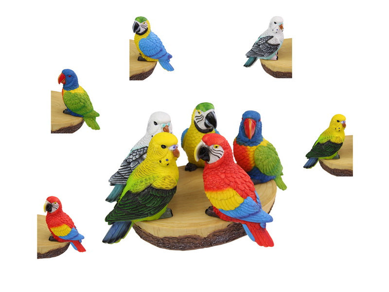 Budgie/Parrot/Lorikeet on Display – 17cm