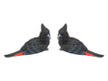 Black Cockatoo Bird Paperweight – 14cm