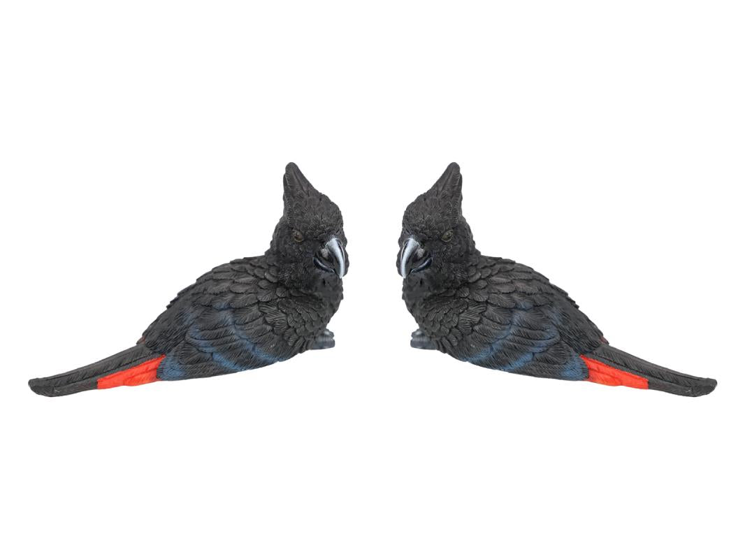 Black Cockatoo Bird Paperweight – 14cm