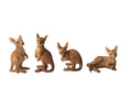Aussie Kangaroo 4 Assorted – 8cm