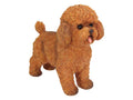 Standing Brown Cavoodle Dog – 27cm