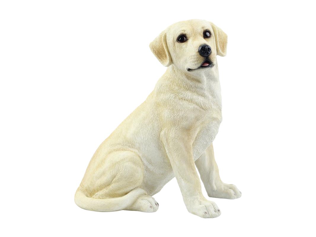 Sitting Cute Labrador – 31cm