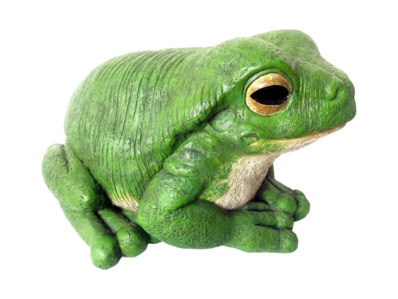Jumbo Green Rainforest Garden Frog – 43cm