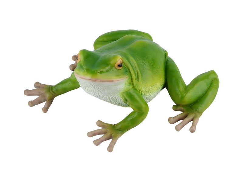 Green Garden Frog – 21cm