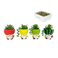Sitting Gnome Fruit Pot with Succulent – 12cm