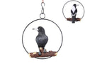 Realistic Magpie in Ring – 25cm