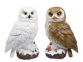 Realistic Owl on Base 2 Assorted – 26cm