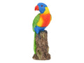Lorikeet Bird on Tree – 20cm
