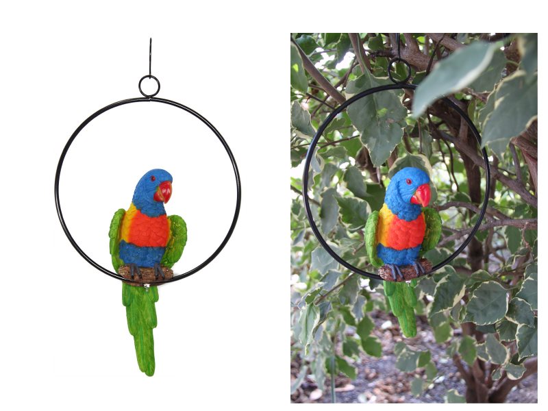 Realistic Parrot in Ring – 20cm