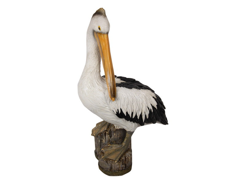Pelican on Log – 41cm