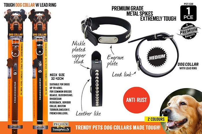 1 Piece Dog Collar with Spikes, 2 Colours - 24 mm × 50 cm