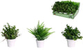 Greenery in Pot 3 ass – 18cm
