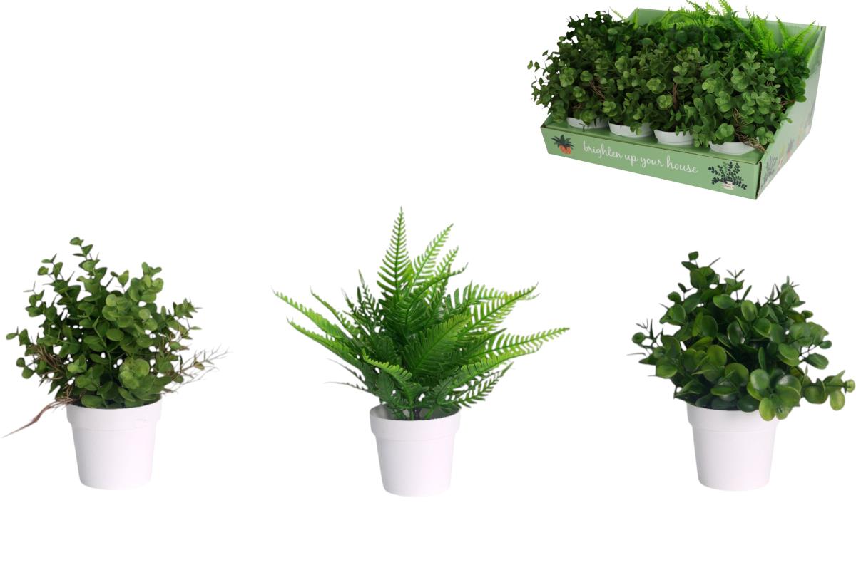 Greenery in Pot 3 ass – 18cm
