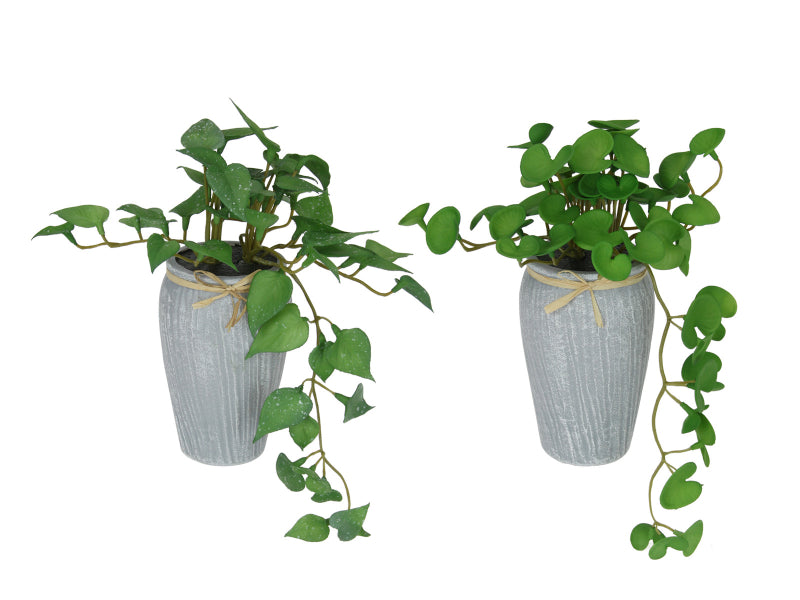 Green Plant in Grey Decor Pot 2 Assorted – 21cm