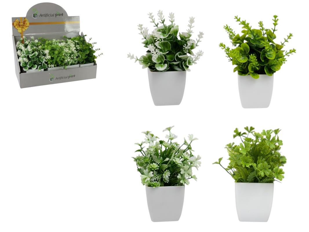 Plant in White Square Pot 4 Assorted – 17cm