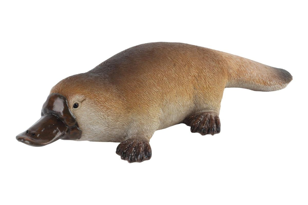 Platypus – 30 × 11cm