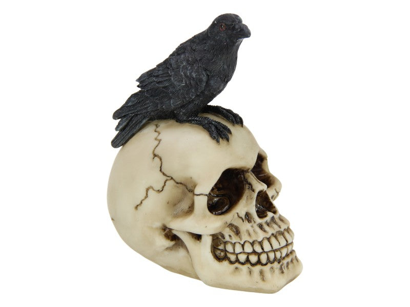 Raven Sitting on Skull – 12cm