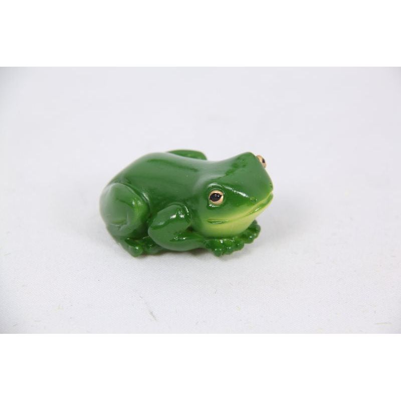 Rainforest Lucky Frog Magnet
