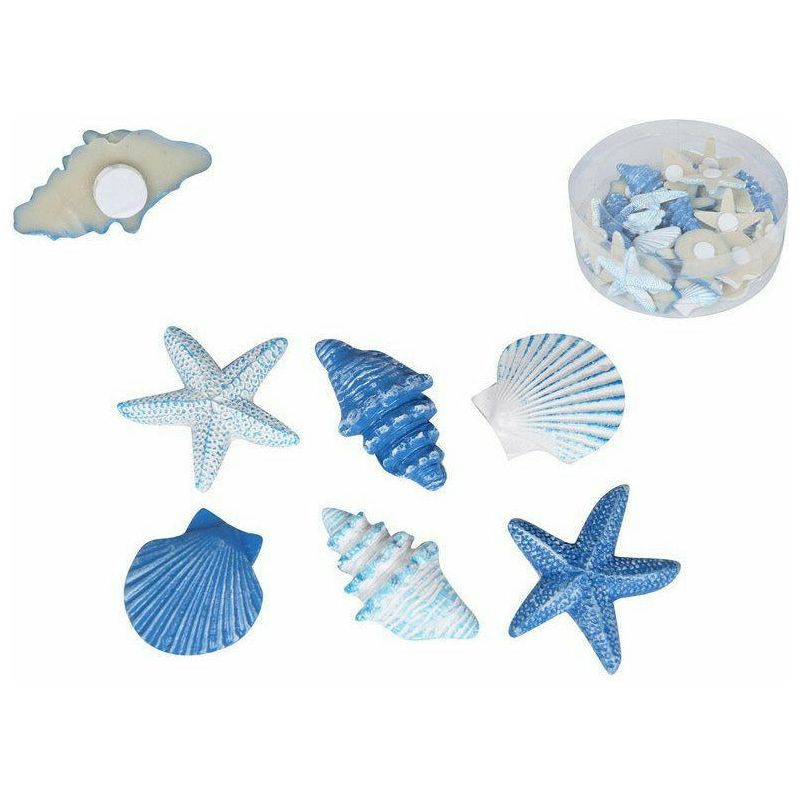 Mini Craft Shells in Display - Assorted